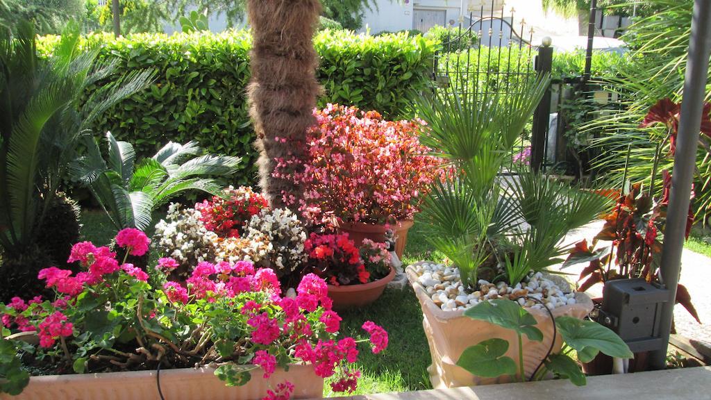 B&B Le Begonie Ascoli Piceno Exterior photo